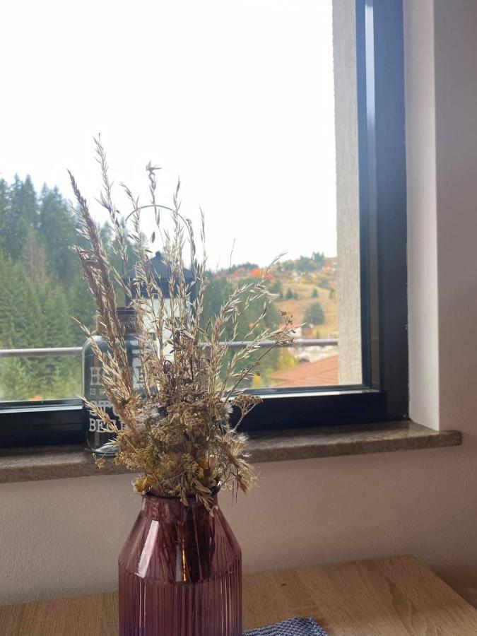 Appartamento Stoykite Escape House Esterno foto
