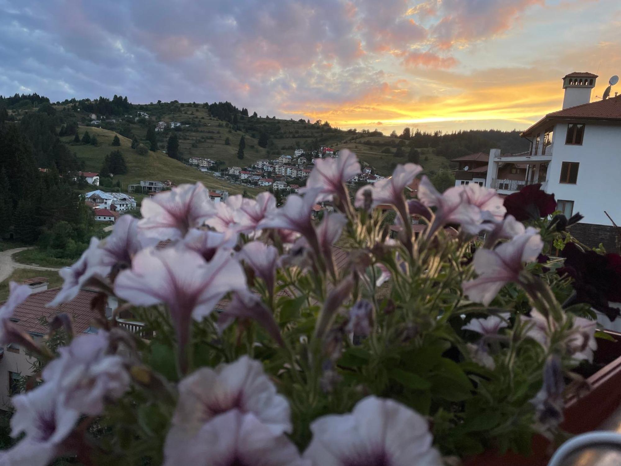 Appartamento Stoykite Escape House Esterno foto